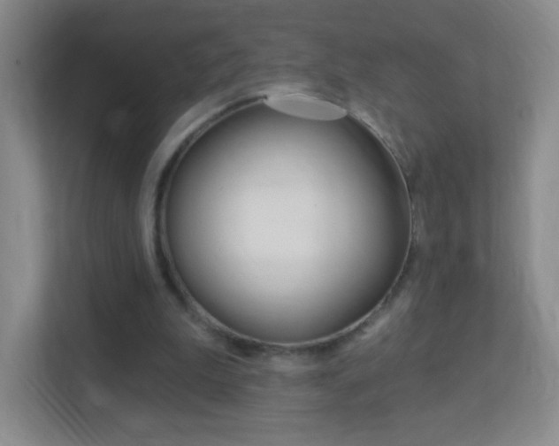 X0000113900199200909241210