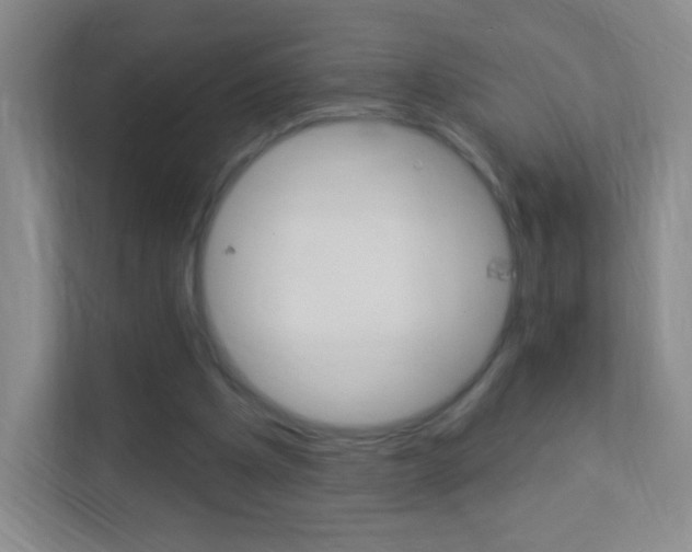 X0000113900201200909241210