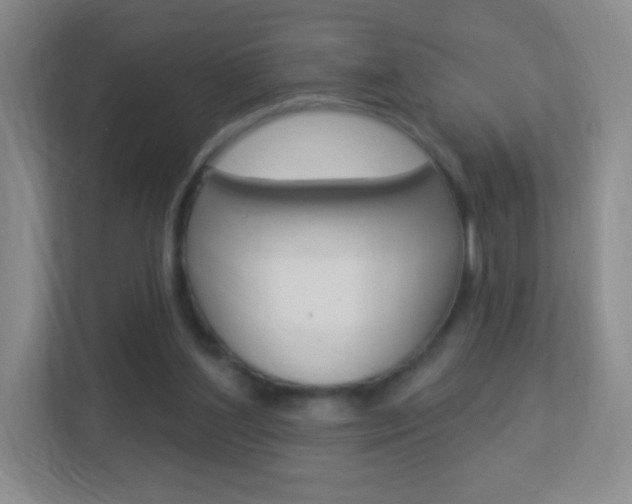 X0000113900204200909241210
