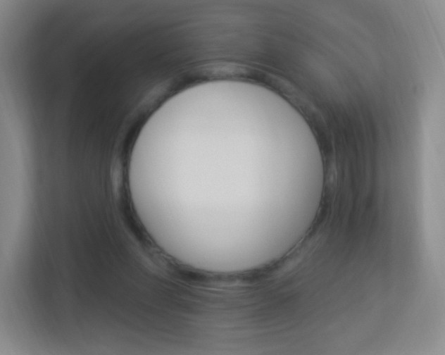 X0000113900206200909241210