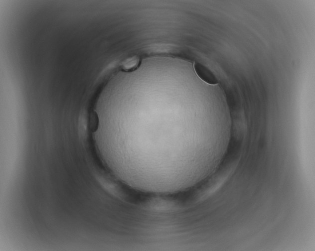 X0000113900207200909241210