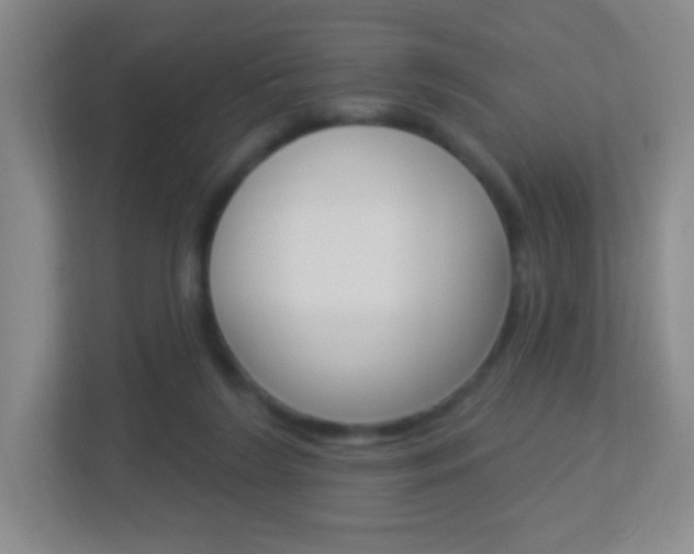 X0000113900212200909241209
