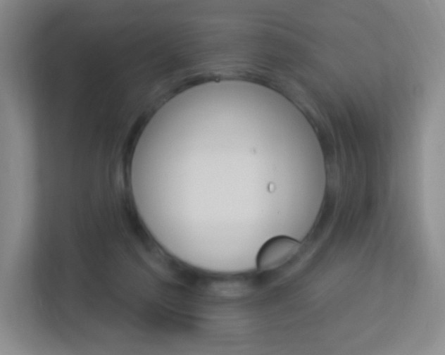 X0000113900213200909241209