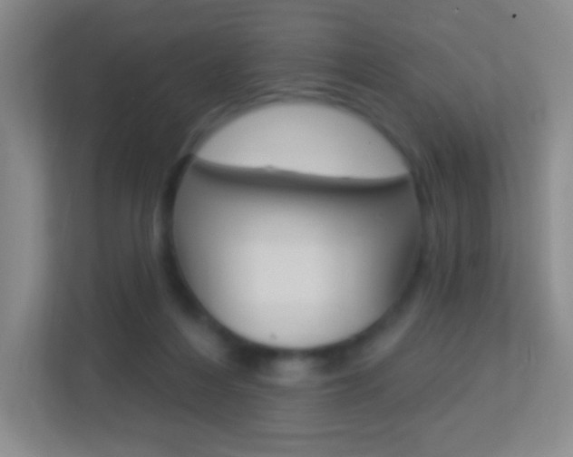 X0000113900216200909241209