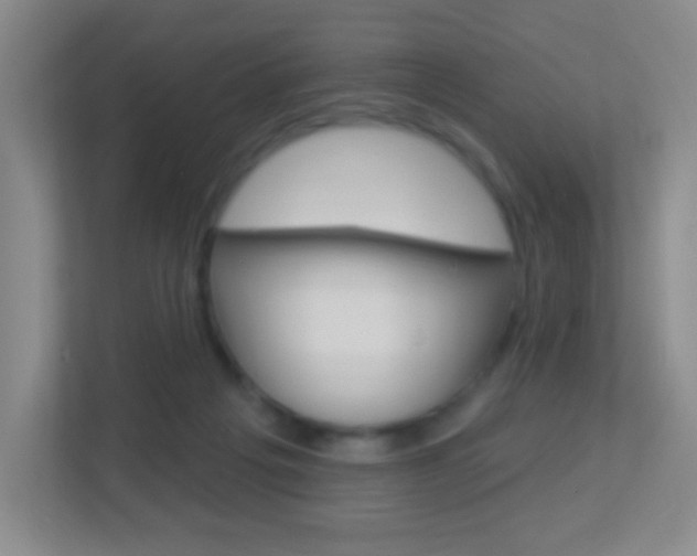 X0000113900217200909241209