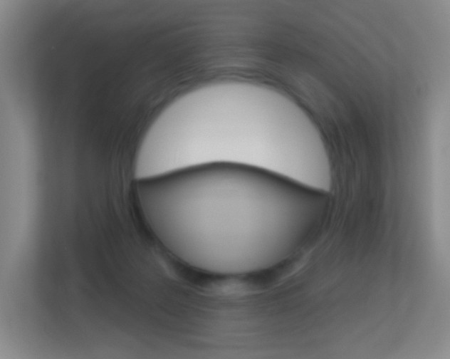 X0000113900219200909241209