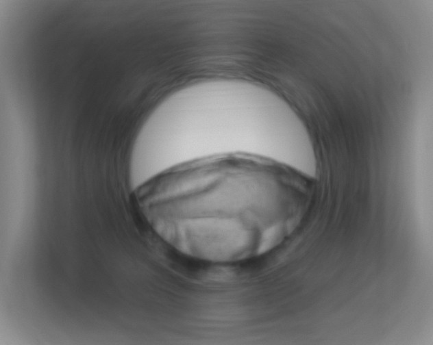 X0000113900227200909241209