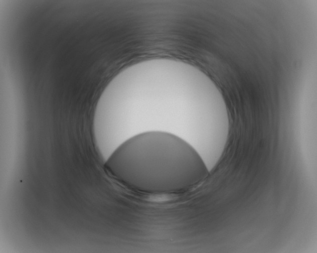 X0000113900231200909241209