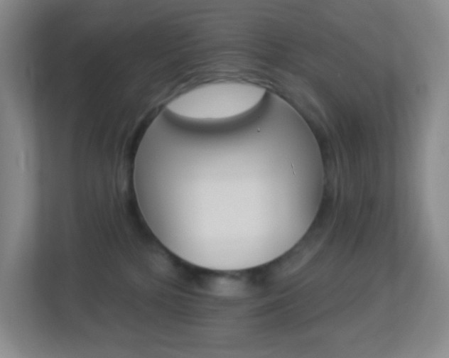 X0000113900232200909241209