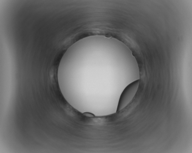 X0000113900233200909241209