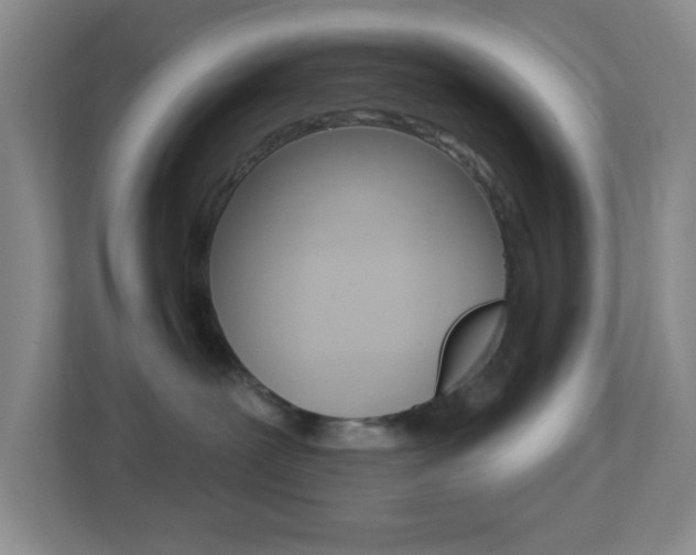X0000113900239200909241209