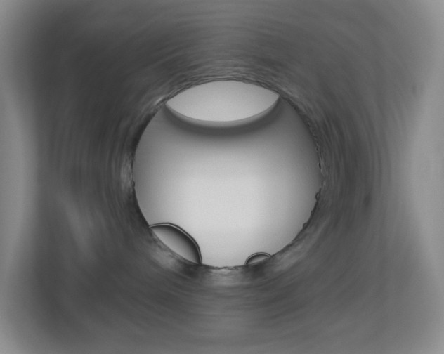 X0000113900240200909241209