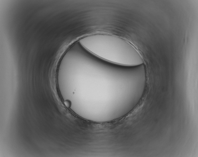 X0000113900241200909241208