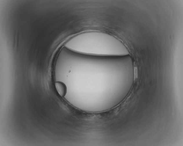 X0000113900243200909241209