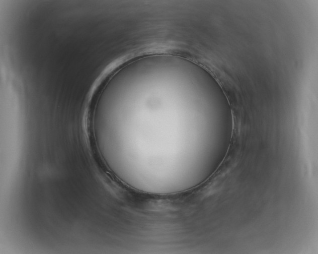 X0000113900244200909241209