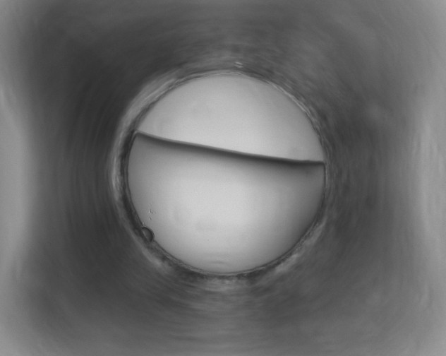 X0000113900245200909241209
