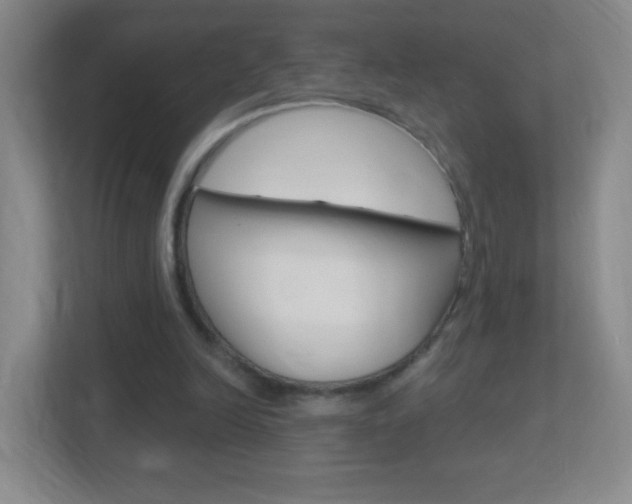 X0000113900246200909241209