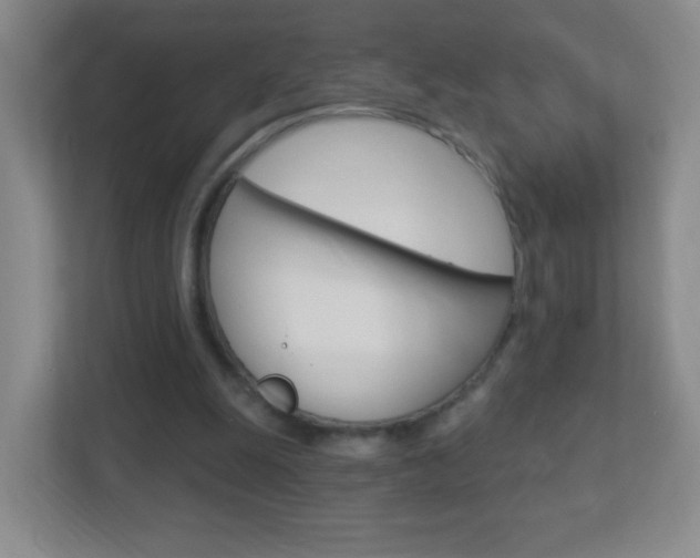 X0000113900247200909241209