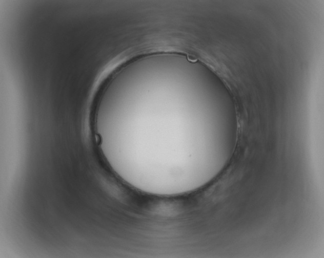 X0000113900248200909241209