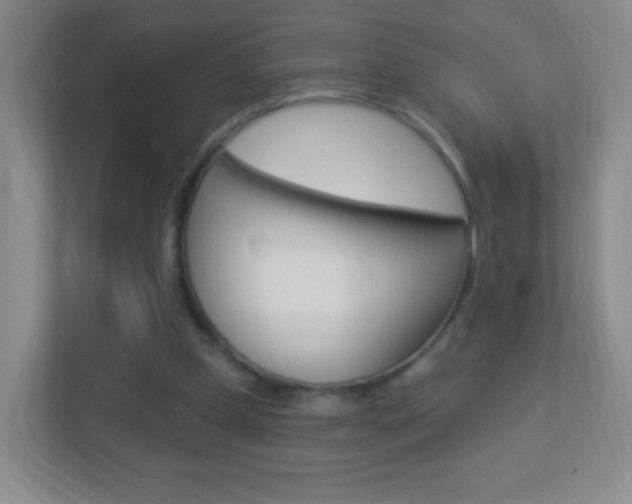 X0000113900249200909241209