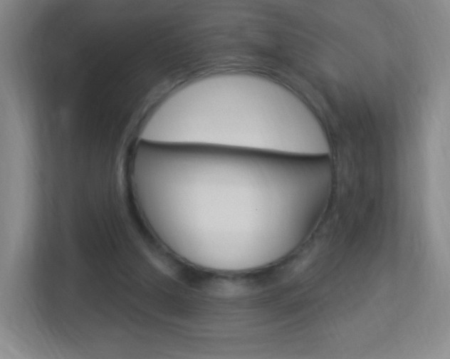 X0000113900250200909241209