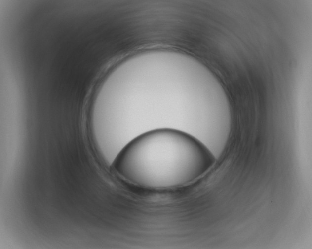 X0000113900252200909241209