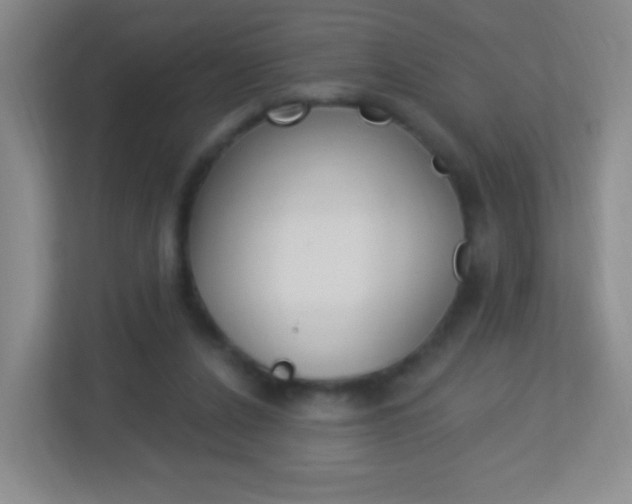 X0000113900256200909241209