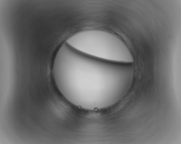 X0000113900257200909241209