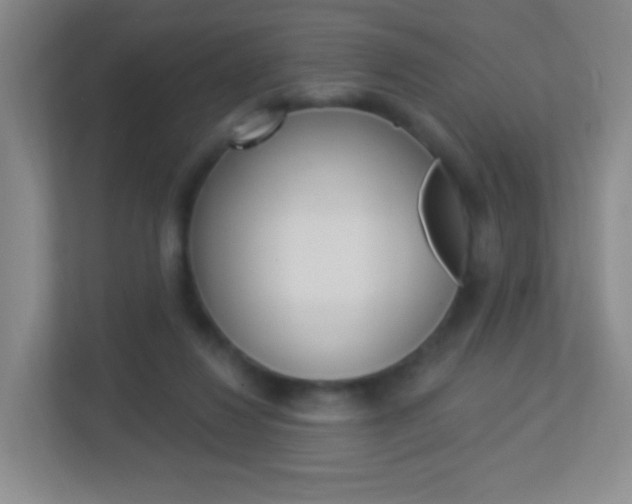 X0000113900260200909241209
