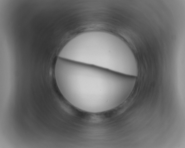 X0000113900261200909241209