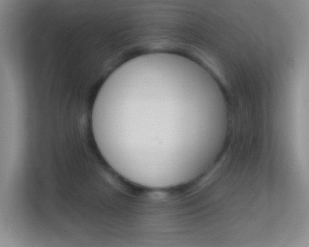 X0000113900265200909241209