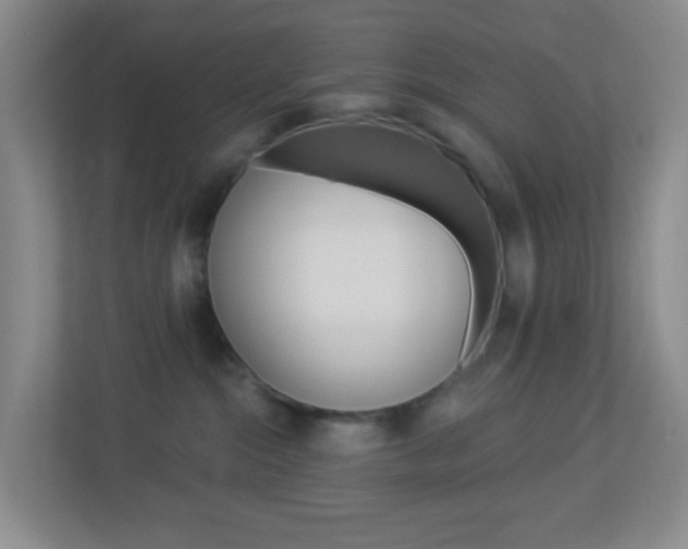 X0000113900284200909241209