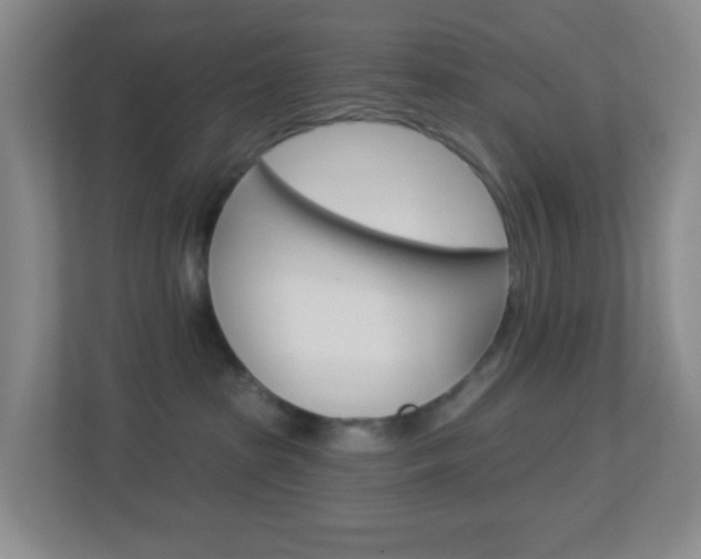 X0000113900285200909241209