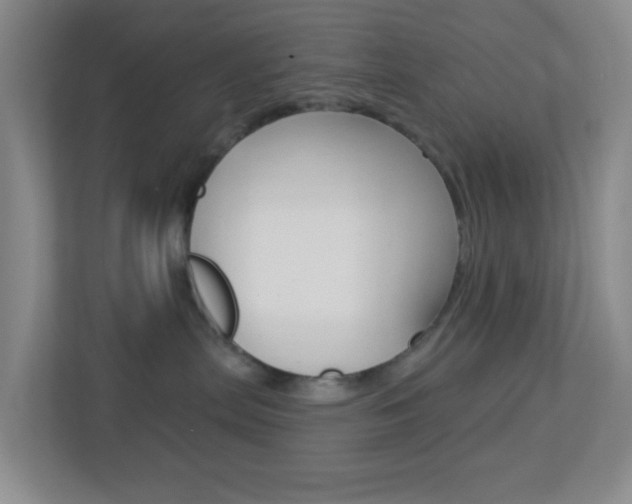 X0000113900287200909241209