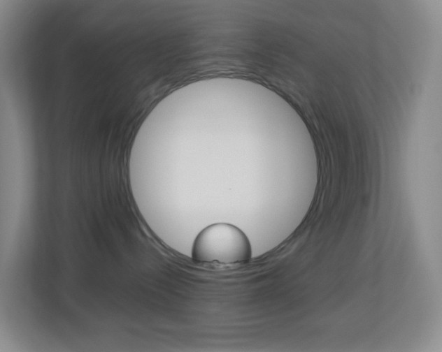X0000113900288200909241209