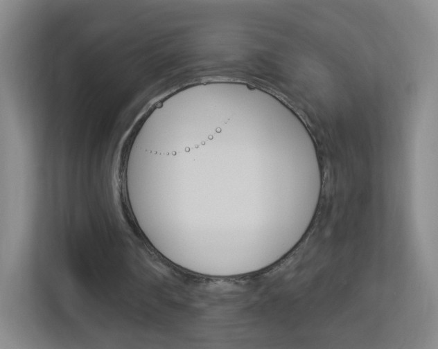 X0000113900290200909241208