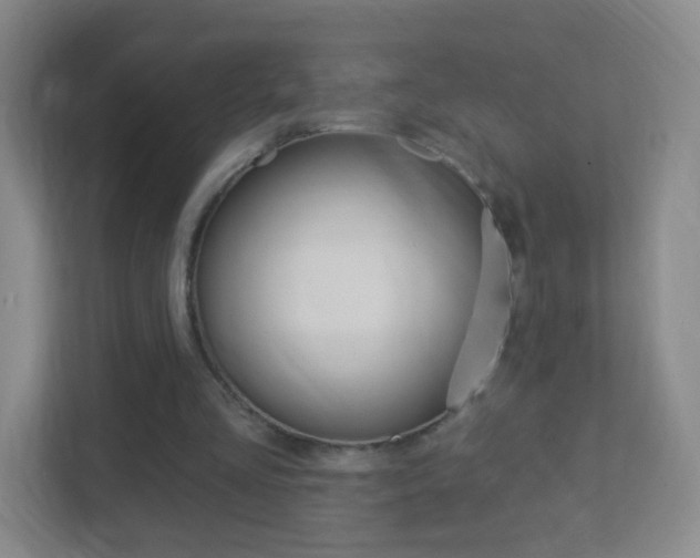 X0000113900293200909241208