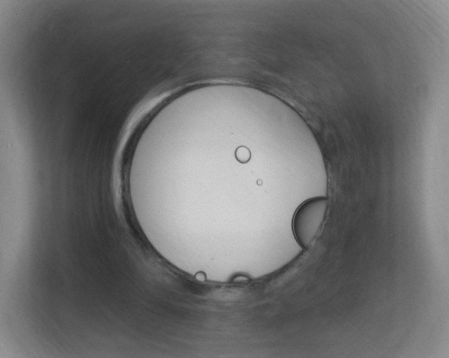 X0000113900294200909241208