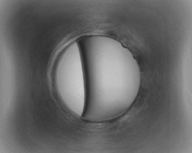 X0000113900295200909241208