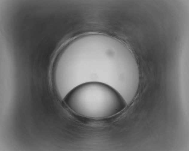 X0000113900296200909241208