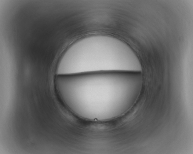 X0000113900299200909241208