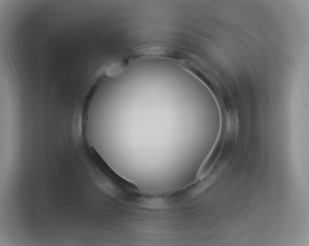 X0000113900301200909241208