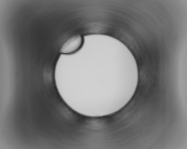 X0000113900305200909241208