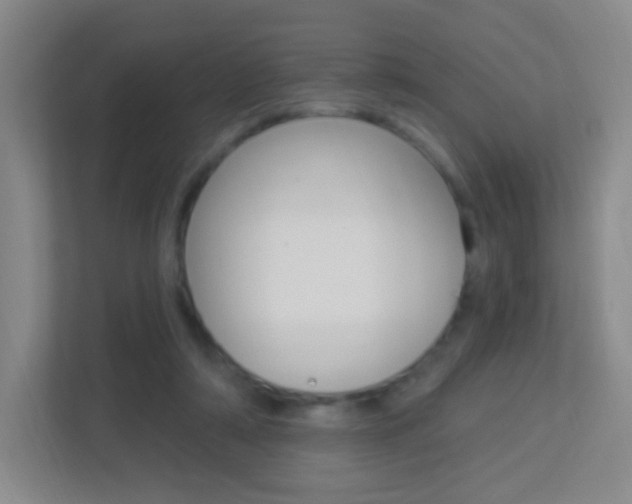 X0000113900306200909241208