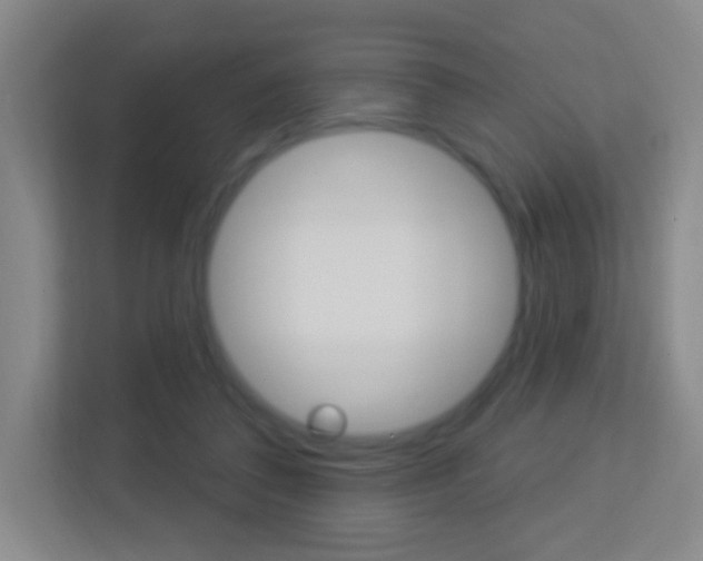 X0000113900308200909241208