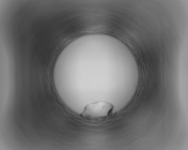 X0000113900309200909241208