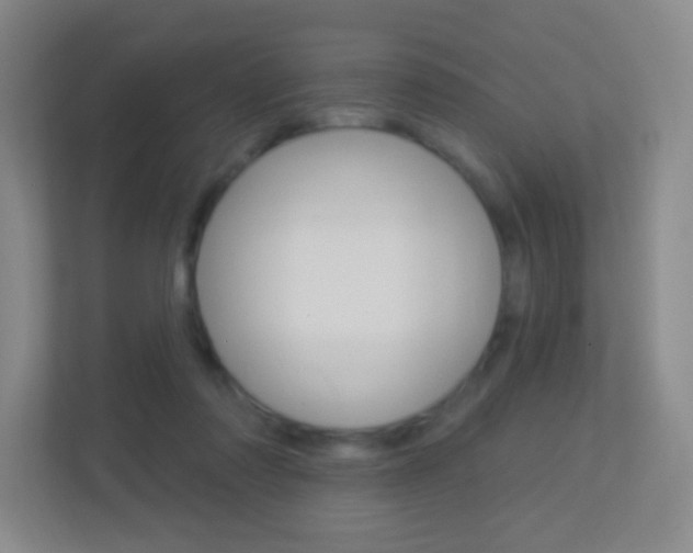 X0000113900310200909241208