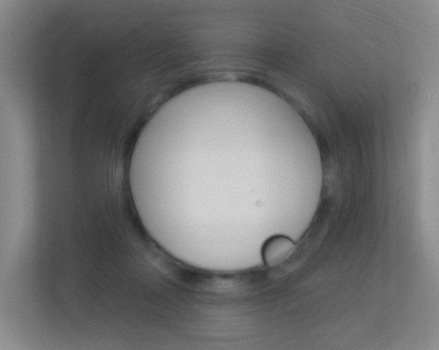 X0000113900314200909241208