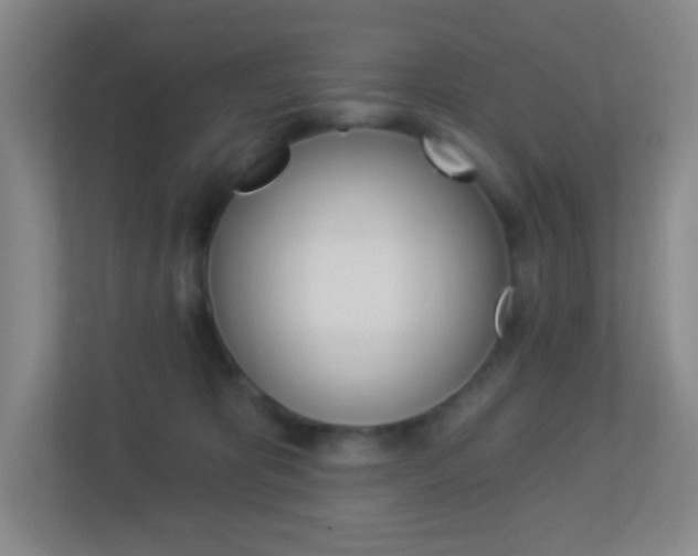 X0000113900325200909241208