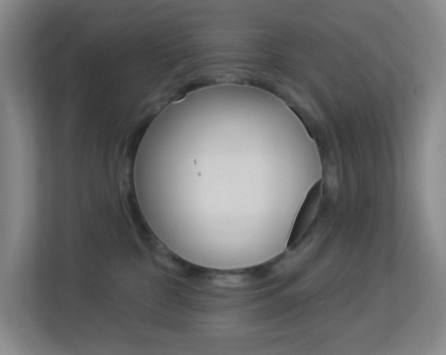X0000113900332200909241208
